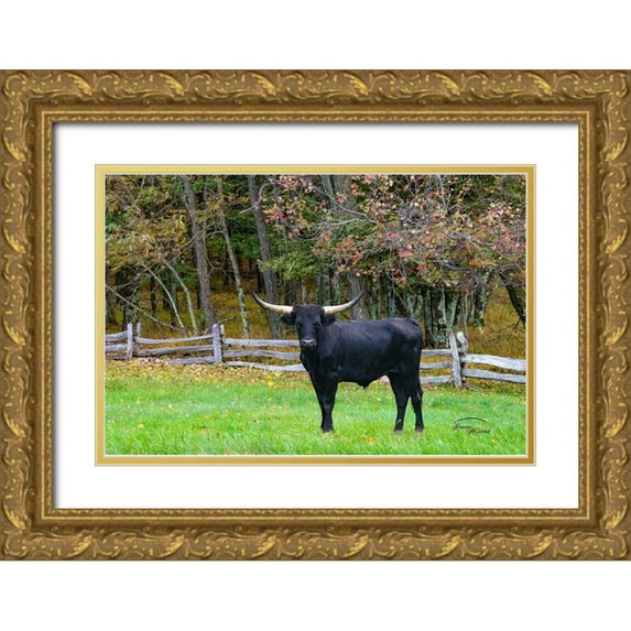 Murdock, Ramona 32x23 Gold Ornate Wood Framed with Double Matting Museum Art Print Titled - Black Steer