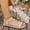 Beige, variant on Jamicy Women's Strappy Flat Sandals Dressy Open Toe Ankle Strap Summer Beach Slides Vacation Shoes Summer Sandal for Women