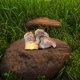 thumbnail image 1 of Estatua de resina de jardín con luz LED suave | Figurita de libro antiguo al aire libre | Decoración conmemorativa a prueba de intemperie | Escultura de patio hecha a mano para patio, camino, mesa |, 1 of 8