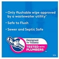 thumbnail image 2 of Cottonelle Fresh Care Flushable Cleansing Cloth, 504 Count, 2 of 2