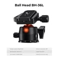 View all media