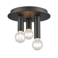 thumbnail image 3 of Elk Lighting Pepper Matte Black Finish 3-Light Flush Mount, 3 of 5