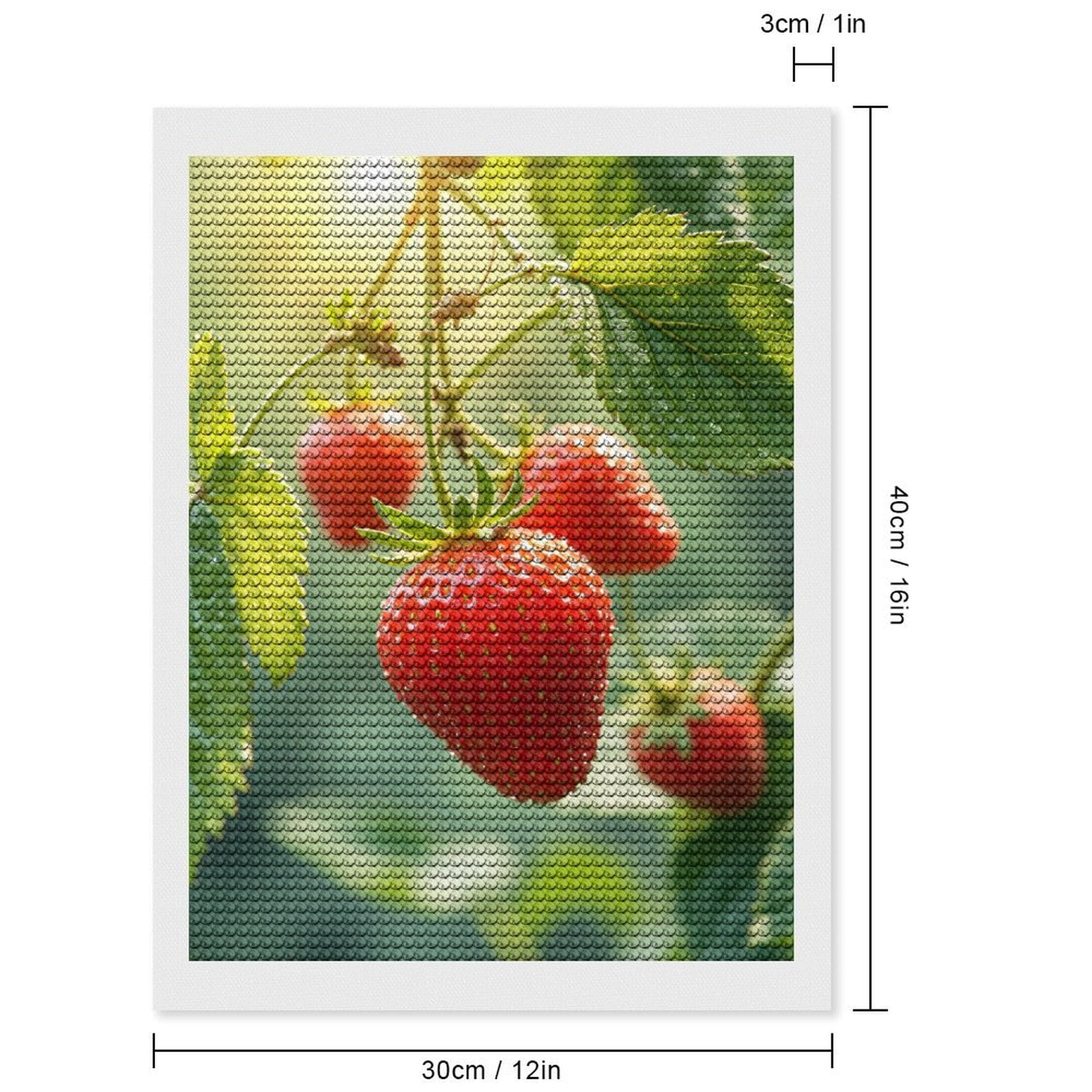 Diamond Art Kits for Adults, Strawberry Sunlit Garden Berries 5D Diamond Painting Kits for Adults Beginners, DIY Full Drill Diamond Painting, Gem Art and Crafts 12x16