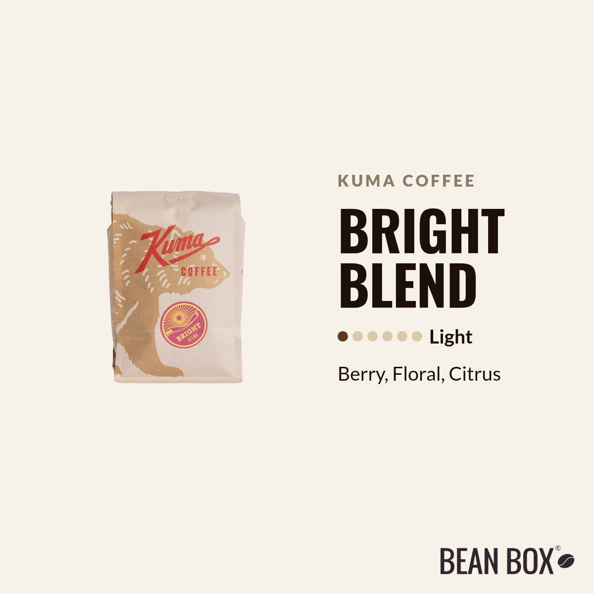 Bright Blend - Roasted by Kuma Coffee - Whole Bean Coffee - 12oz Bag