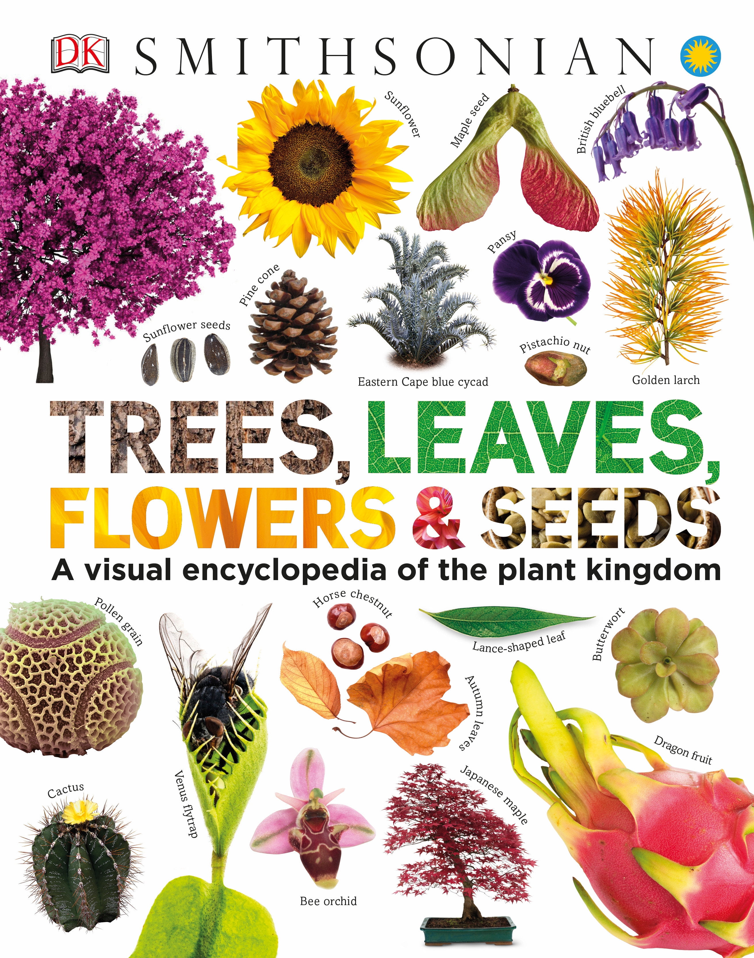 Trees, Leaves, Flowers and Seeds A Visual Encyclopedia of the Plant Kingdom (Hardcover