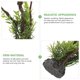 thumbnail image 3 of unbranded De Árbol Artificial Para Acuario Con Planta En Material Resina, 3 of 6