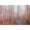 thumbnail image 3 of Sillen, Christina 14x11 Black Modern Framed Museum Art Print Titled - Soft Autumn, 3 of 5
