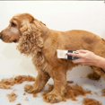 thumbnail image 5 of Tondeuse pour Chien et Chat Paris_Quiet, rechargeable Sans Fil Professionnelle, 5 of 5
