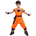 thumbnail image 4 of Disfraz de Son Goku de Anime, conjunto de peluca y zapatos, ropa de actuación para niños, accesorios para fiesta de carnaval, 4 of 5