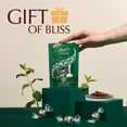 thumbnail image 4 of Lindt LINDOR Dark Mint Chocolate Truffles Box 200g, British Import (Pack of 6), 4 of 4
