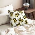 thumbnail image 6 of DouZhe Velvet Decorative Throw Pillow Covers Set of 2, Soft Square Cushion Cover with Invisible Zipper Checkered Flag Racing Colorful Printing, 18"x18", 6 of 7