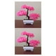 thumbnail image 2 of Bearachild Maceta decorativa con simulación de plantas artificiales, bola de hierba, bonsái, adorno de flores decorativas para el hogar, piña rosa yunsong 2Conjunto, 2 of 6