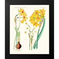 thumbnail image 2 of Unknown 20x24 Black Modern Framed Museum Art Print Titled - Bright Botanicals III, 2 of 5