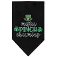 thumbnail image 2 of Pet and Dog Bandana Screen Printed, "Mr. Pinch Charming", 2 of 5