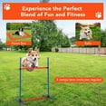 thumbnail image 7 of Dog Agile Training Equipment, 87-Piece Dog Obstacle Course Training Starter Kit with Tunnel,Adjustable Dog Hoop,Weave Poles, Jump Ring, Pause Box, Toy Balls and Storage Bag, 7 of 7