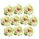 thumbnail image 2 of 2x 10 Unidades de Seda Peonía Cabeza de Flor Flores Artificiales Hechas a Mano Diy Boda Decoración Del Hogar Artesanía Festiva Y Suministros de Fiesta SM SunniMix cabeza de flor, 2 of 8