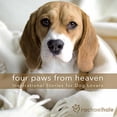 thumbnail image 1 of Pre-Owned Four Paws from Heaven Gift Edition: Inspirational Stories for Dog Lovers (Hardcover) 0736922032 9780736922036, 1 of 1