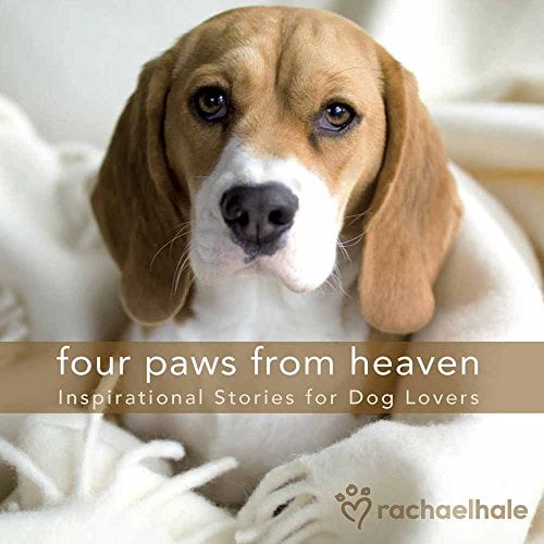 Pre-Owned Four Paws from Heaven Gift Edition: Inspirational Stories for Dog Lovers (Hardcover) 0736922032 9780736922036