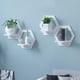 thumbnail image 1 of Estante Flotante de Pared Sin Taladro - Plástico Blanco, Instalación Sin Perforación y Sin Huellas, Repisa Decorativa para Plantas/Libros/Decoración del Hogar (29x29x21cm), 1 of 6