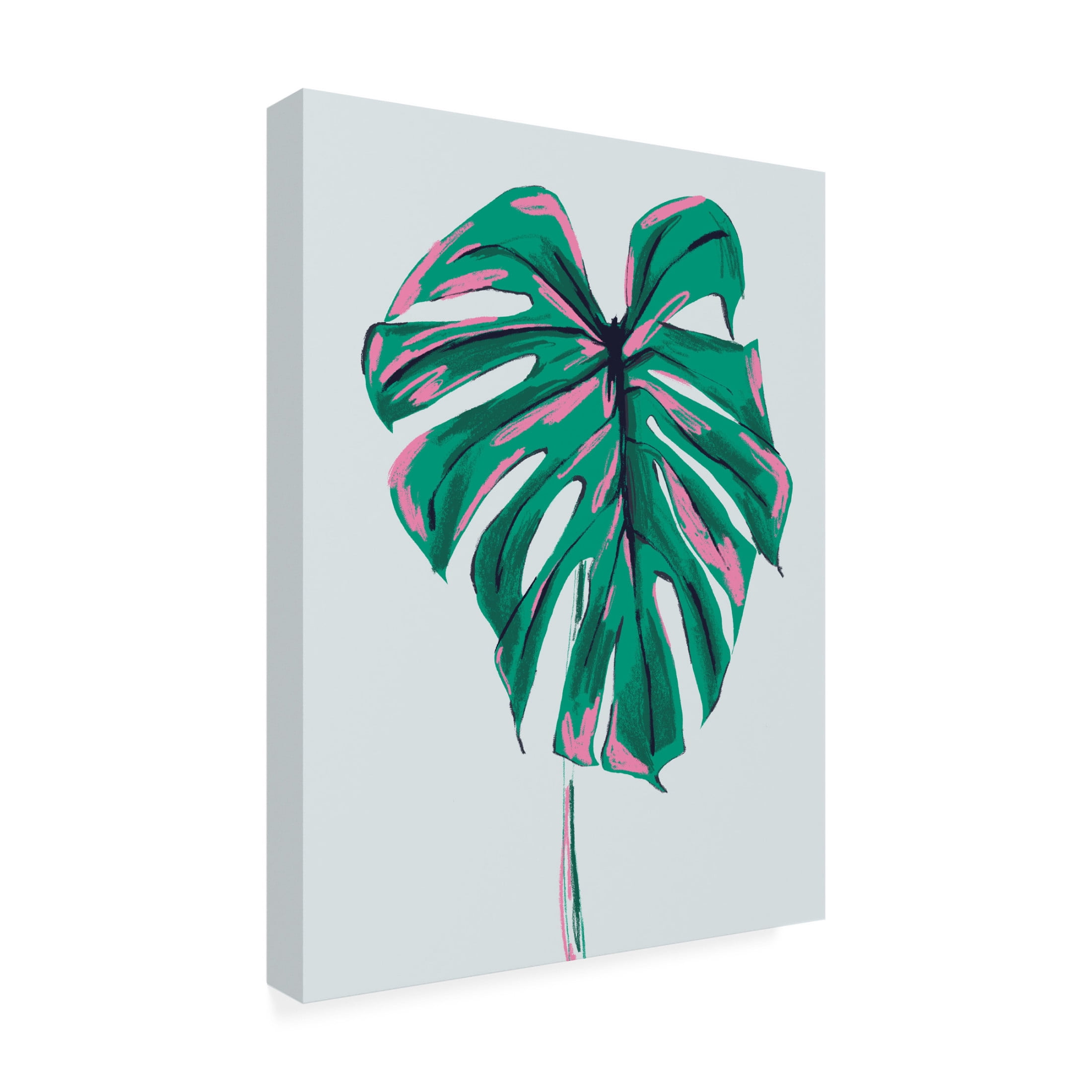 Trademark Fine Art Francesco Gulina Monstera Deliciosa Light Canvas Wall Art