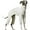 Milky white, variant on HQREA Italian Greyhound Clothes Onesie Thin Soft Turtleneck Whippet Dog Coat Jumpsuit