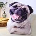 thumbnail image 6 of 3D Simulation Dog Plush Toy Lifelike Plush pillow Animal Plush Padding Figurine Toys Dog Throw Pillow for Birthday Gift Sofa Decoration Style A, 6 of 7