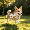 thumbnail image 2 of 2-in-1 Dog Lift Harness with Handle Portable Pet Carrier Vest Leash Set Adjustable for Small Medium Dogs Cats Outdoor Walking Travel(White-9.5cm), 2 of 3