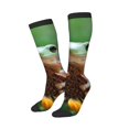 thumbnail image 2 of JUNZAN Fun Novelty Knee Warmer High Socks-Tree Frog Sitting On Sunflowes, 2 of 8