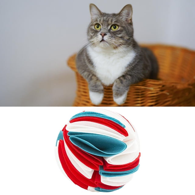 Dispensador interactivo de juguete para perros y mascotas Salvador Snuffle Ball rojo azul