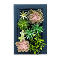thumbnail image 4 of K-Cliffs DIY Kit, Artificial Succulent Wall Art  Wood Frame with Faux Plants, Hanging Botanical Decoration, Home Decor , Navy Blue, 4 of 8