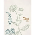 thumbnail image 2 of Santiago, Daniela 12x14 White Modern Wood Framed Museum Art Print Titled - Shine On, 2 of 4