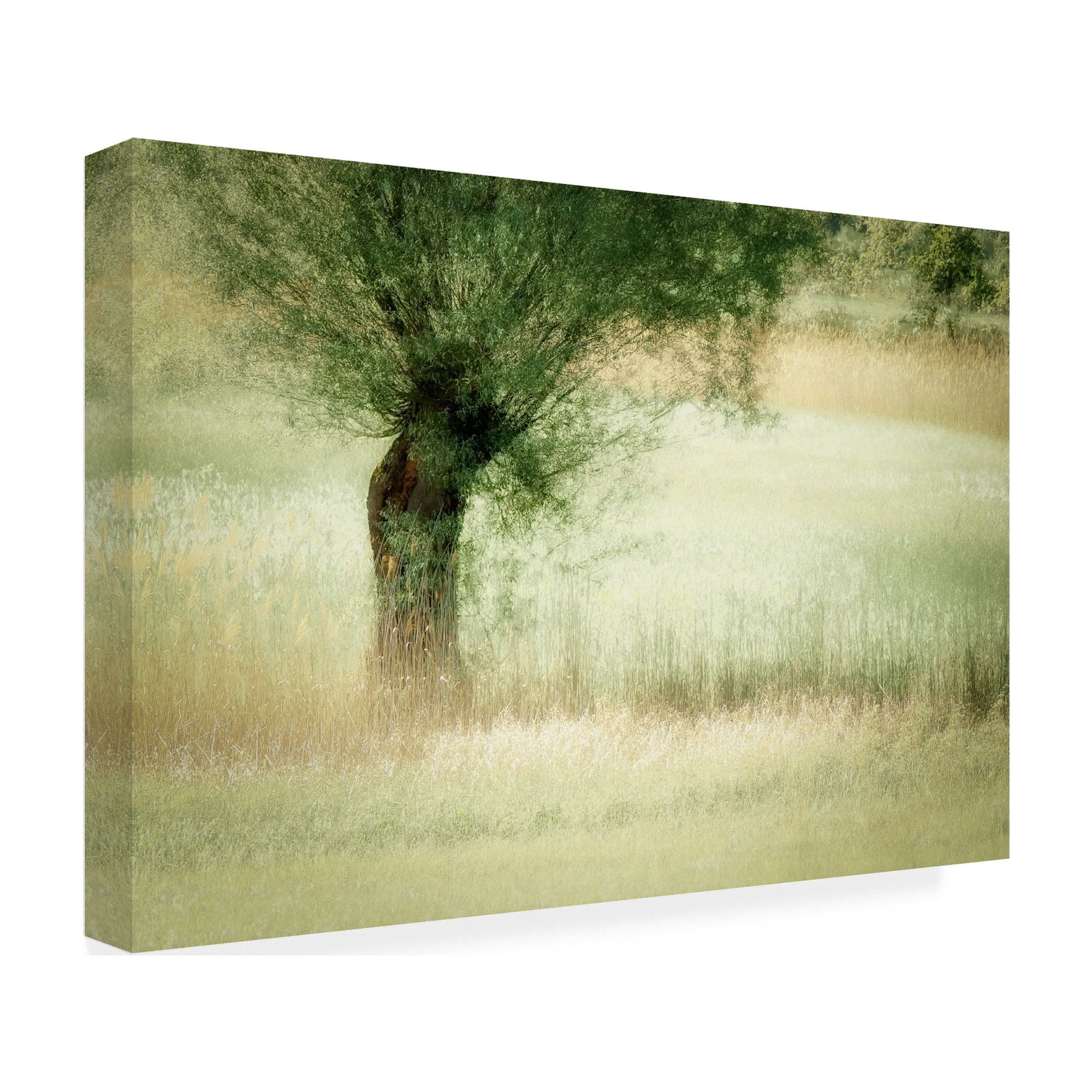 Nel Talen 'Willow' Canvas Art