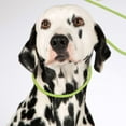 thumbnail image 5 of Pet Collars Dog Training Leash With P Ring Control Reflective Design for Obedience Training, 5 of 5