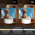 thumbnail image 3 of Hirioo Blue Sky Cloud Puppy for Rectangular Acrylic with Night Light Best Gifts for Lover Girl Mom, Valentine's Day Anniversary Birthday Wedding Present, 3 of 9