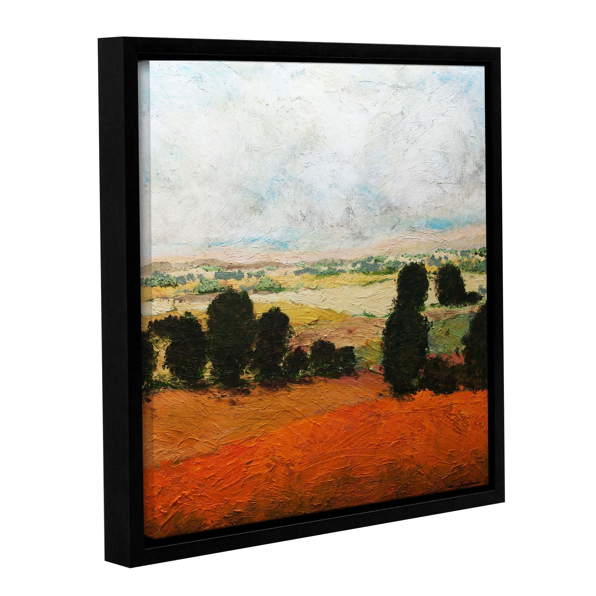 ArtWall Allan Friedlander "45 Acres" Gallery-Wrapped Floater-Framed Canvas