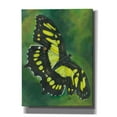thumbnail image 1 of Epic Graffiti 'Malachite Butterfly' by Barbara Keith, Canvas Wall Art, 40"x54", 1 of 8