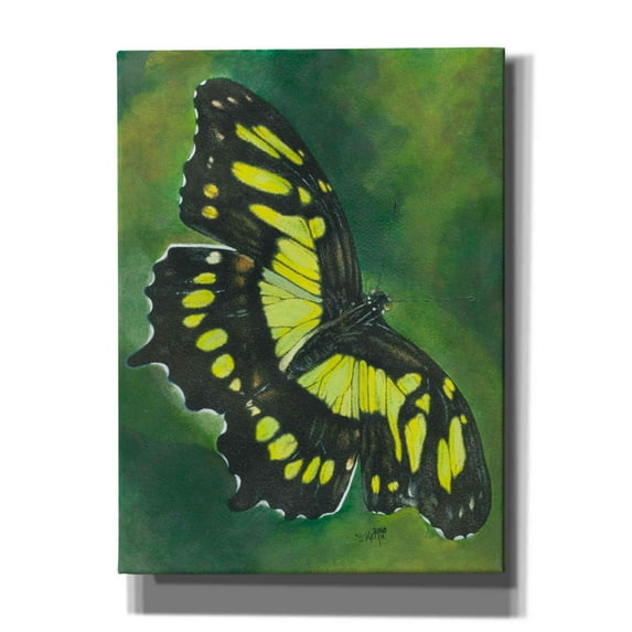 Epic Graffiti 'Malachite Butterfly' by Barbara Keith, Canvas Wall Art, 40"x54"