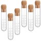 thumbnail image 1 of 6 Pcs Glass Tea Infuser, Glass Strainers With Cork Lid, Reusable Glass Diffuser For Tea,clear Tea S, 1 of 5