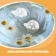 thumbnail image 3 of unbranded 10Ud Adornos Flotantes Para Peceras Transparente Para Acuario Y Ambiente, 3 of 8
