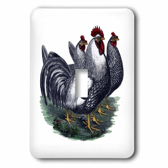 3dRose, Image of 3 Black And White Roosters On Grass Patch, single toggle switch