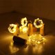 thumbnail image 5 of Paquete de 10 luces de cadena de hadas de 1M, 20 LED, resistentes al agua, funciona con pilas para decoración de bares, fiestas, bodas, festivales de Navidad, blanco cálido, 5 of 5