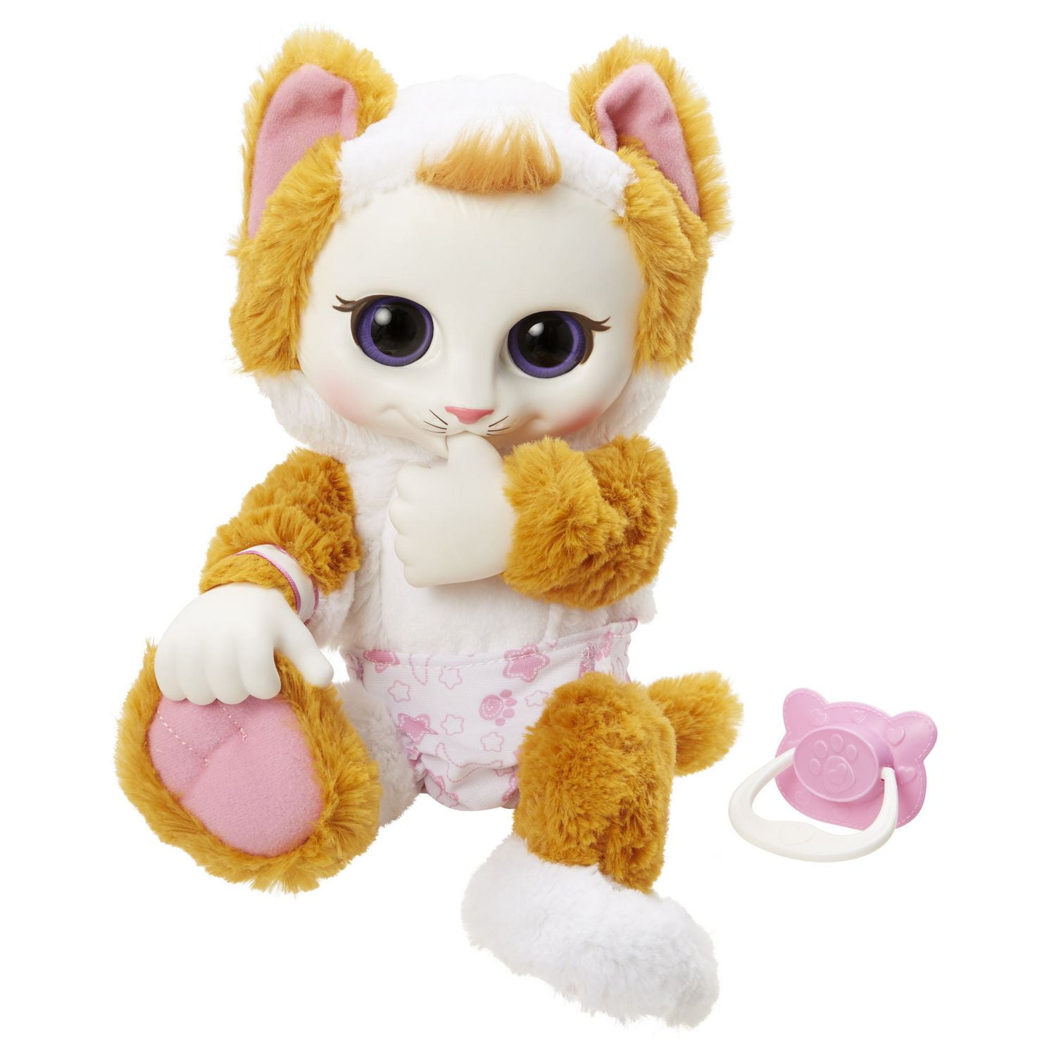 Animal Babies Nursery Baby Calico Kitten