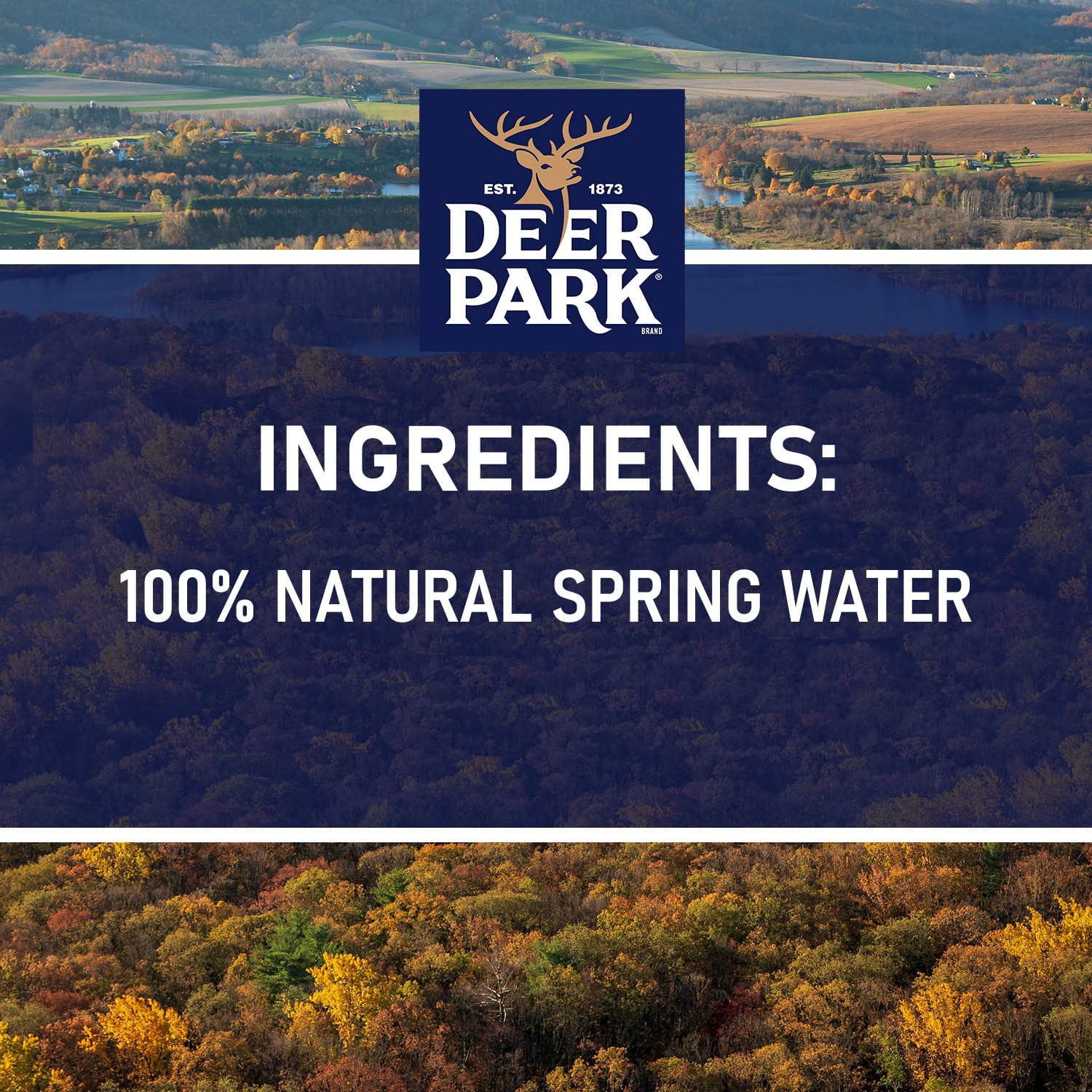 Deer Park - Brandclub - DEER PARK 100% Natural Spring Water 40-16.9 fl. oz.  Bottles, image size:1500x1500