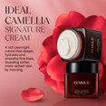 thumbnail image 2 of Crema Hidratante Facial FEMMUE 45 g con Aceite de Semilla de Camelia, 2 of 8
