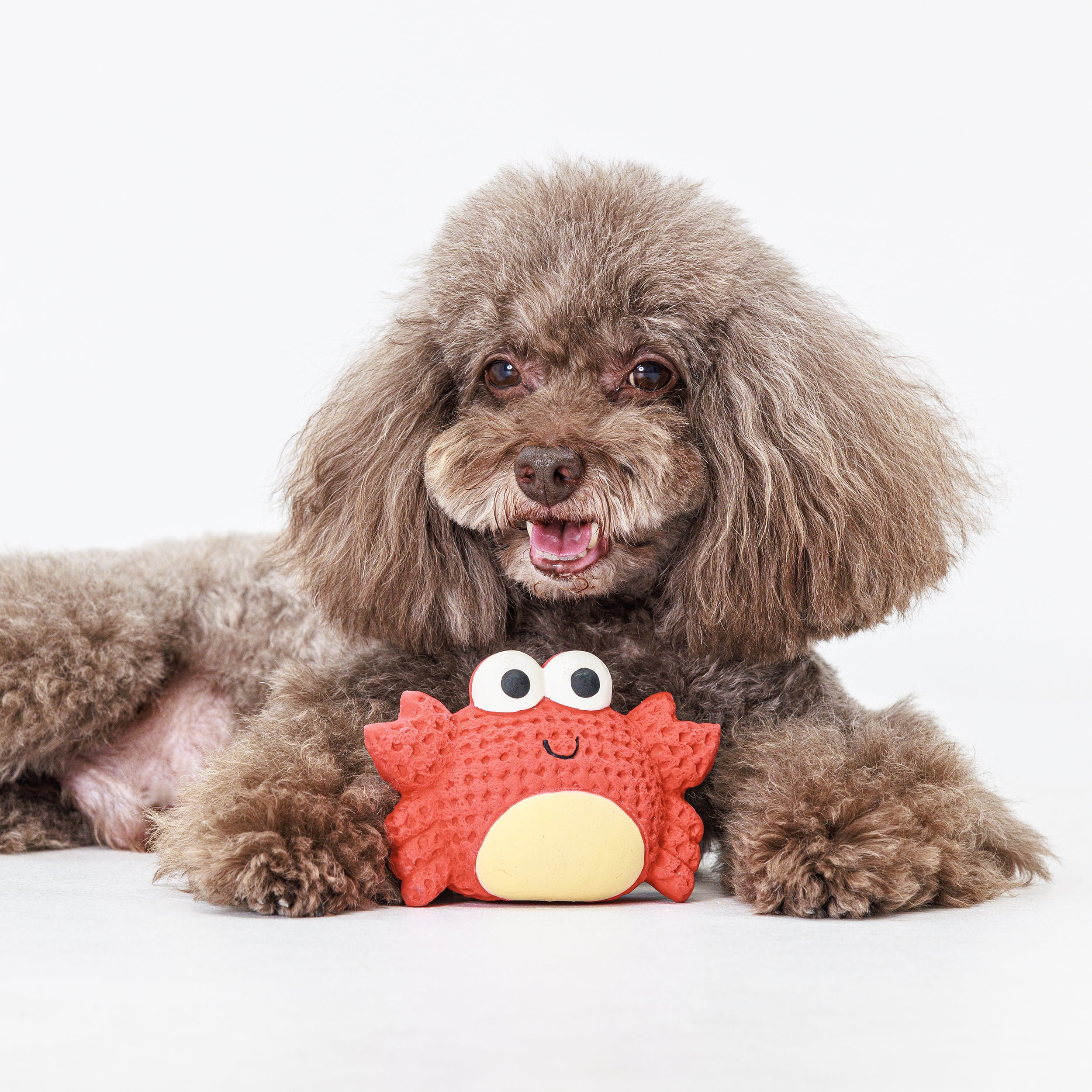 (8 pack) Vibrant Life Playful Buddy Red Crab Latex Dog Toy