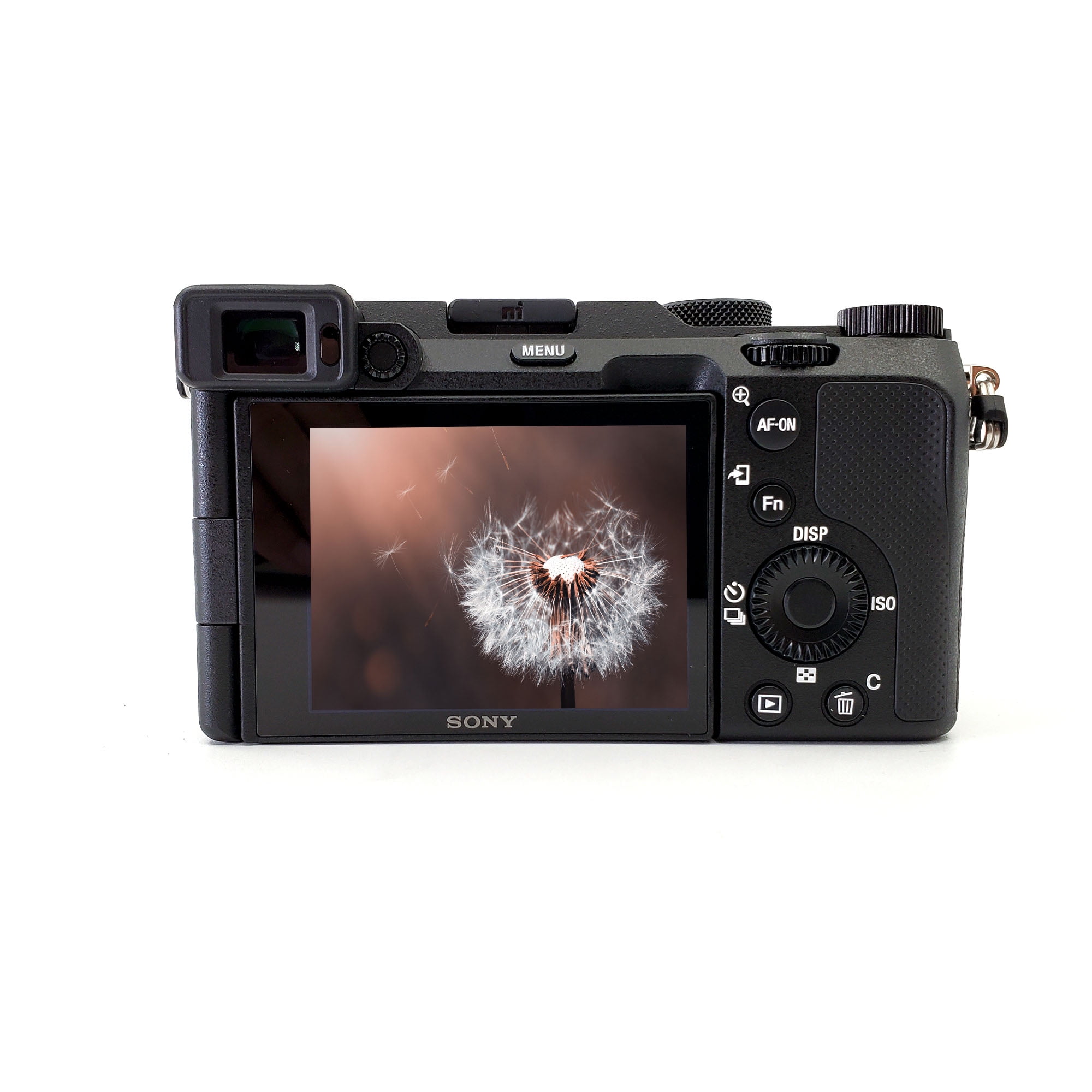 Sony Alpha a7C Full-Frame Mirrorless Camera Body - Black… - Moment