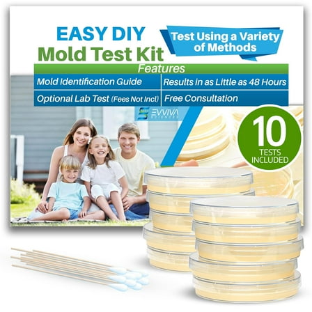 Evviva Sciences Mold Test Kit for Home - 10 Easy DetectionTests w/Optional Lab Analysis (Extra Fee), Test HVAC System, Surfaces, & Indoor Air Quality Testing Kit - Downloadable Mold Information Guide