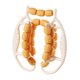 thumbnail image 1 of Rodillo de masaje de 29 ruedas, rodillo para piernas, ejercicio multiusos, portátil, fitness. Naranja, 1 of 9