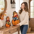 thumbnail image 4 of Fall Harvest Scarecrow Figurine Set of 2, Wood 2D Scarecrow Sitting on Pumpkin Statue with Sunflower, Autumn Farmhouse Tabletop Decor for Mantel Shelf Thanksgiving Home Decor, 4 of 4