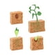 thumbnail image 4 of Ciclo de vida de la planta de judía verde, regalo Montessori, juguete de desarrollo, modelo de ciclo de vida de planta agrícola, figura para niños en, 4 of 10